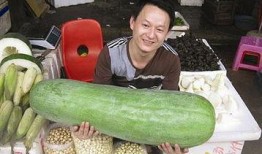 52每日大瓜视频