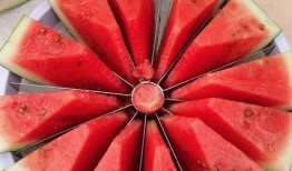 吃瓜大赛 网红大瓜在哪找,吃瓜大赛热门信息汇总